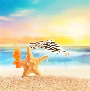تصویر با کیفیت ستاره دریایی روی شن
